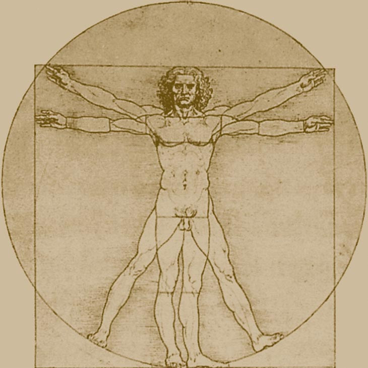 Vinci's Vitruvian man